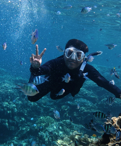Scuba Diving & PADI Certification